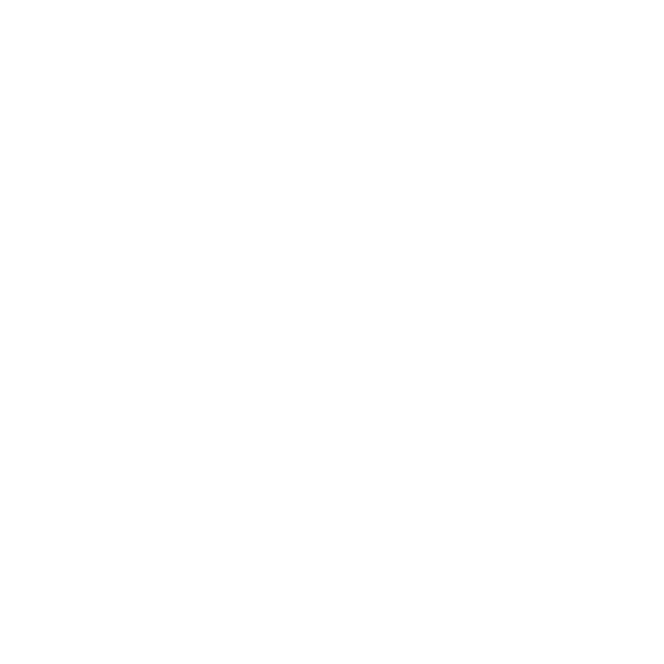 x 1